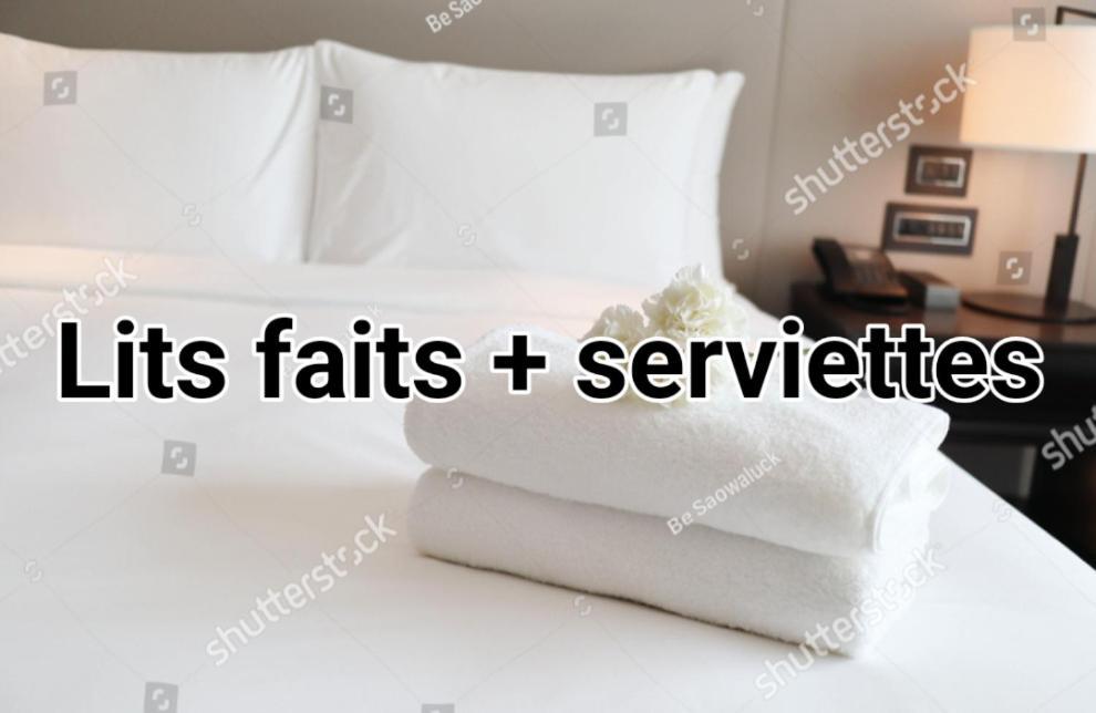 "Le Coquillage" Appartement Proche Plage Royan Eksteriør billede